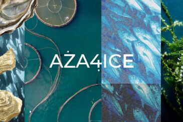 Najava održavanja 3. LiRRIE radionice u okviru provedbe projekta AZA4ICE