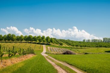 Prva radionica za projekte izgradnje/rekonstrukcije nerazvrstanih cesta